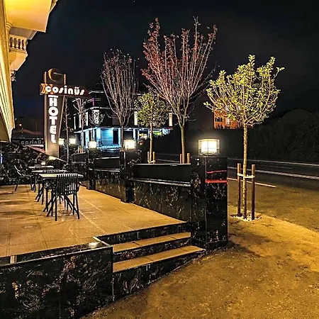 Отель Cosinues Airport Arnavutkoy