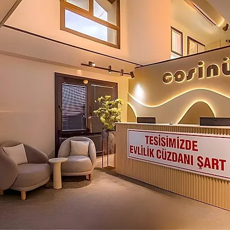 Отель Cosinues Airport
